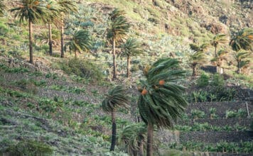 Vientos fuertes en Canarias este martes