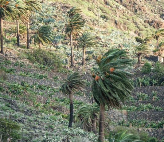 Vientos fuertes en Canarias y posibilidad de lluvias débiles en Canarias este viernes