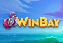 Video Póker: Combinación perfecta entre Tragamonedas y Póker