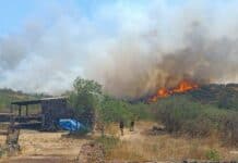 Estabilizado el incendio de Tenerife