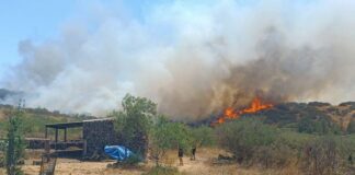 Estabilizado el incendio de Tenerife