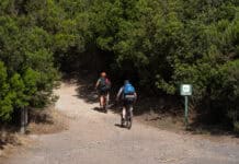 El Cabildo rebaja al grado 2 las medidas preventivas ante la alerta por riesgo de incendios forestales
