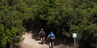 El Cabildo rebaja al grado 2 las medidas preventivas ante la alerta por riesgo de incendios forestales