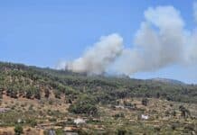 Se originan dos conatos de incendio en El Hierro que afectan a zonas forestales