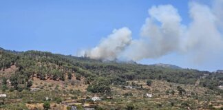 Se originan dos conatos de incendio en El Hierro que afectan a zonas forestales