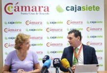 Las ventas y el empleo en el comercio aumentan sin lograr frenar la desaparición de tiendas en Canarias