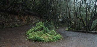 El Cabildo adjudica los trabajos de accesibilidad y mejora paisajística de Las Mimbreras con una inversión de 1,8 millones de euros