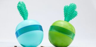 Development Trends of Pet Toys: Innovations and Insights for Pet Owners