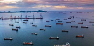 Application of Artificial Intelligence in International Logistics: Transforming Supply Chain Efficiency