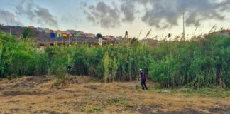 La Gomera avanza en la adecuación de cauces y limpieza de infraestructuras hidráulicas