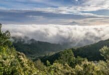 El Cabildo pone en marcha un plan de divulgación para avanzar hacia un modelo sostenible de gestión de residuos