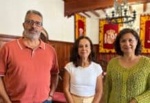 El PSOE pide al Ayuntamiento de San Sebastián una gestión adecuada de la poda de palmeras y el cumplimiento de protocolos contra la propagación de plagas