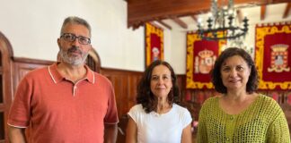 El PSOE pide al Ayuntamiento de San Sebastián una gestión adecuada de la poda de palmeras y el cumplimiento de protocolos contra la propagación de plagas