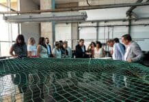 Universidades públicas canarias: orgullo compartido