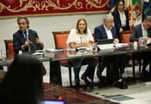 El Parlamento de Canarias aborda el nuevo decreto de discapacidad en la Comisión General de Cabildos Insulares