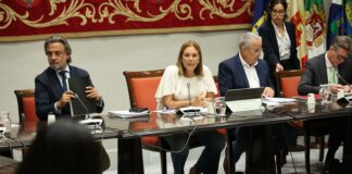 El Parlamento de Canarias aborda el nuevo decreto de discapacidad en la Comisión General de Cabildos Insulares