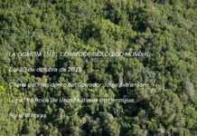 Hermigua acoge este lunes una charla sobre el papel estratégico de La Gomera en el Corredor Biológico Mundial