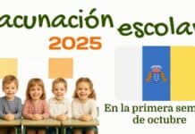 Sanidad inicia hoy la campaña frente a la gripe exclusivamente en colectivos especialmente vulnerables