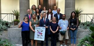 El Parlamento de Canarias da voz a los afectados por Daño Cerebral Adquirido