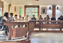 El pleno extraordinario aprueba inversiones clave para el patrimonio, la educación infantil y el deporte en Vallehermoso