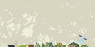 La Gomera acoge esta semana las XI Jornadas Forestales de la Macaronesia