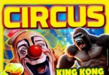 El Circo de Francia llega a San Sebastián de La Gomera la próxima semana