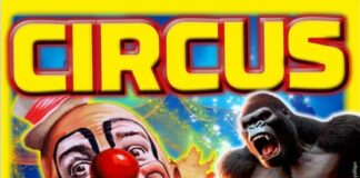 El Circo de Francia llega a San Sebastián de La Gomera la próxima semana