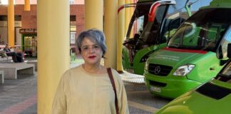 El PSOE recuerda a Curbelo que la gratuidad en el transporte es una medida estatal y no suya