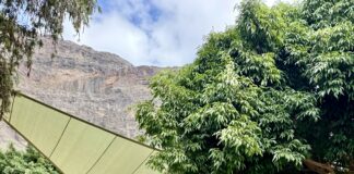 Valle Gran Rey reabre el Parque Infantil de Borbalán tras la finalización de las obras de mejora