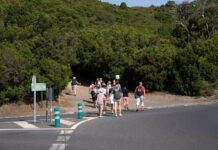La Gomera impulsa la elaboración de un diagnóstico del perfil de turista que visita la isla