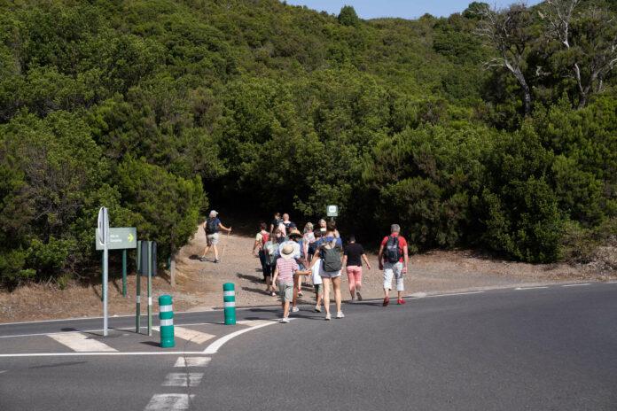 Turistas en el Parque Nacional de Garajonay