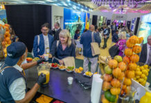 Turismo de Canarias impulsa la regeneración del destino junto con los principales operadores internacionales