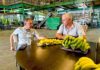 Cupalma y Grupo Orsero se unen para impulsar la exportación de plátano de Canarias IGP en Europa