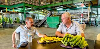 Cupalma y Grupo Orsero se unen para impulsar la exportación de plátano de Canarias IGP en Europa