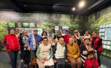 Cruz Roja atiende a cerca de 1.000 personas en situación de vulnerabilidad en La Gomera en 2025