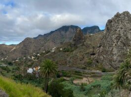 Vallehermoso impulsa nueve proyectos europeos por más de 38 millones de euros