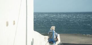 El Cabildo de La Gomera desactiva el Plan de Emergencias Insular