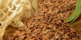 Organizaciones de agricultores y agricultoras piden a la UE proteger la diversidad de semillas y variedades cultivadas