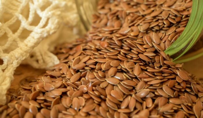 semilla de canarias Foto ITC