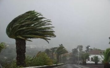 El viento continúa este miércoles en Canarias