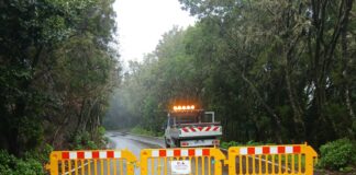 El Cabildo de La Gomera cierra la carretera de El Rejo para realizar labores de limpieza
