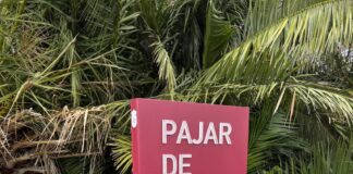 Agulo inicia la instalación de su nueva cartelería turística