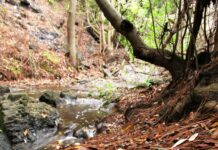 La Casa de Colón acoge una exposición de James Kline que fusiona escultura y música