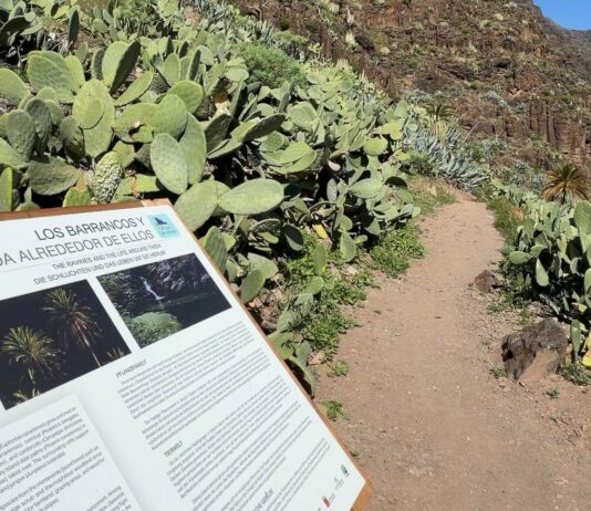 El Cabildo culmina los trabajos de conservación del sendero El Guro – Salto del Agua en Valle Gran Rey