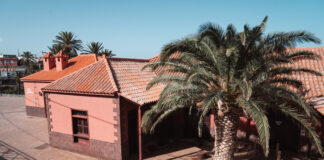 La Casa de la Miel de Palma supera los 5.600 visitantes en 2025 y refuerza su papel dinamizador social y cultural