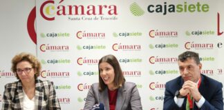 El comercio canario pierde terreno por la vigencia de la excepción fiscal a las importaciones de bajo valor