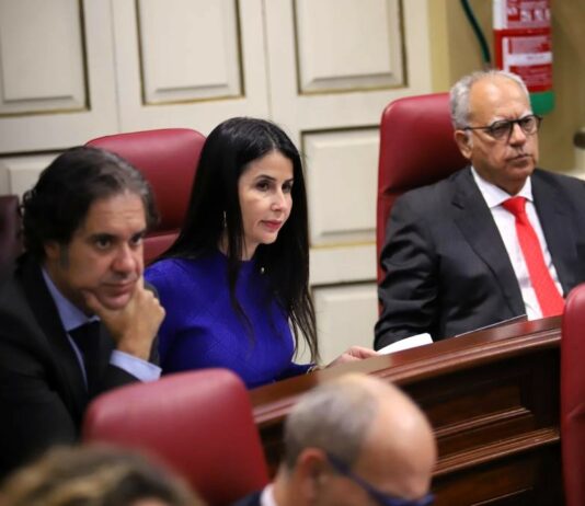 Conectividad y renovables, ejes de ASG en el próximo pleno