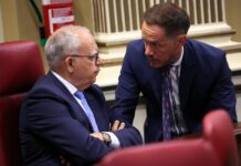 ASG solicita un calendario para cerrar el anillo eléctrico de La Gomera y una defensa firme del REF ante su cuestionamiento