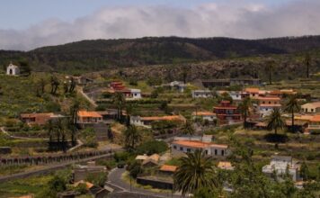 El Cercado celebra desde este jueves sus fiestas en honor a la Virgen del Pino