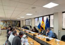 El Ejecutivo refuerza la coordinación con cabildos y Estado para agilizar la financiación de la gratuidad del transporte